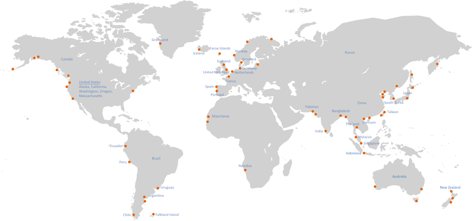 Global Network Map